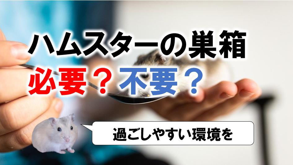 ハムスターは巣箱なしでも大丈夫 巣箱を設置しなくても問題ないケースについても 幸運を呼ぶハム様